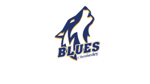 1. Acceuil blues logo 5
