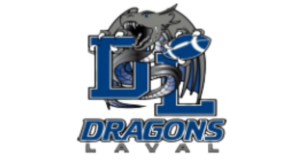 dragon 6