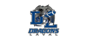 1. Acceuil dragon logo 10