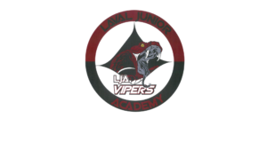 1. Acceuil lja logo 5